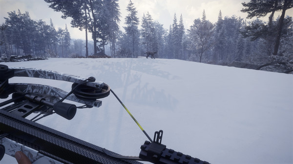 Screenshot 6 of theHunter™: Call of the Wild - Weapon Pack 1