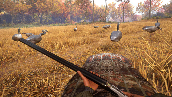 Screenshot 4 of theHunter™: Call of the Wild - Wild Goose Chase Gear