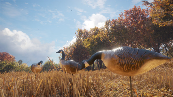 Screenshot 5 of theHunter™: Call of the Wild - Wild Goose Chase Gear