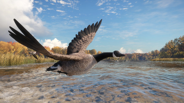 Screenshot 6 of theHunter™: Call of the Wild - Wild Goose Chase Gear