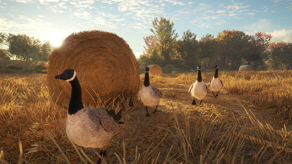 Screenshot 9 of theHunter™: Call of the Wild - Wild Goose Chase Gear