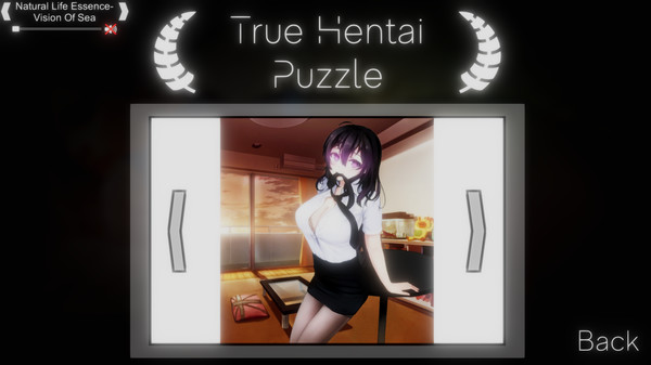 Screenshot 2 of True Hentai Puzzle