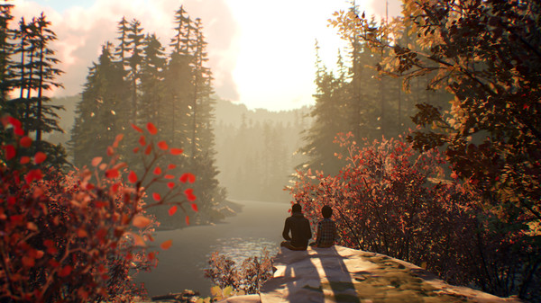 Screenshot 4 of Life is Strange 2