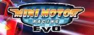 Mini Motor Racing EVO