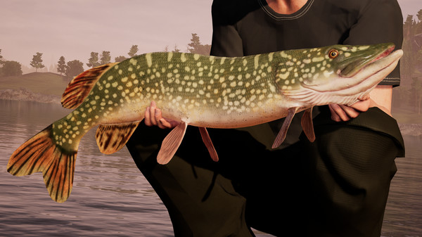 Screenshot 4 of Fishing Sim World