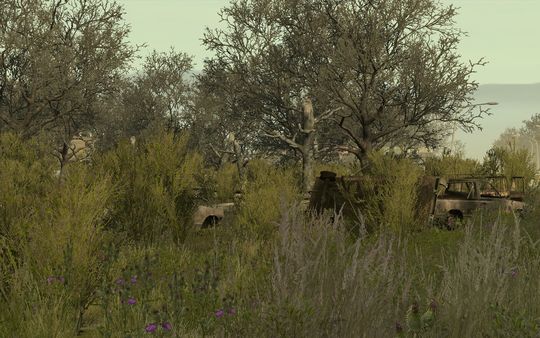 Screenshot 28 of Arma 2: Private Military Company