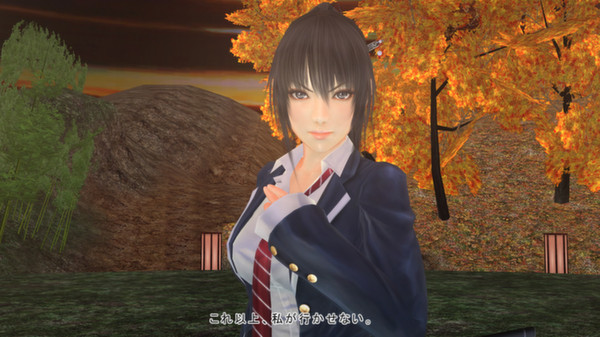 Screenshot 14 of Mitsurugi Kamui Hikae