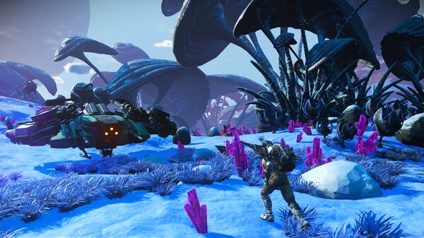 Screenshot 50 of No Man's Sky