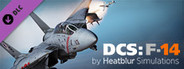 DCS: F-14 by Heatblur Simulations