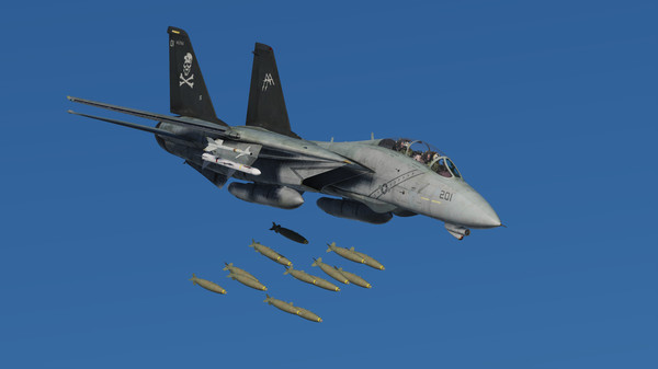 Screenshot 1 of DCS: F-14 by Heatblur Simulations