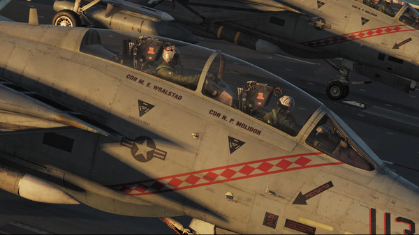 Screenshot 12 of DCS: F-14 by Heatblur Simulations