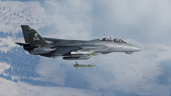 Screenshot 20 of DCS: F-14 by Heatblur Simulations