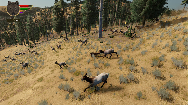 Screenshot 11 of WolfQuest: Anniversary Edition