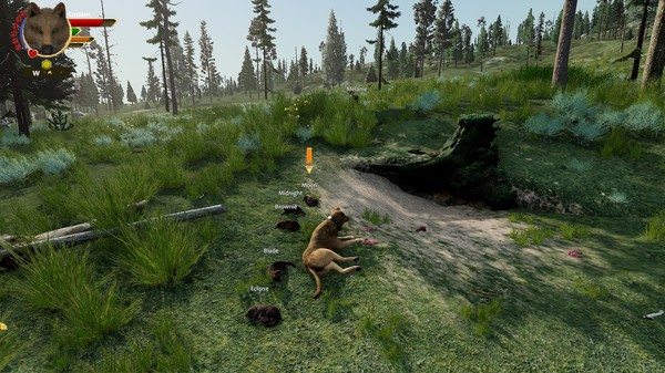 Screenshot 17 of WolfQuest: Anniversary Edition