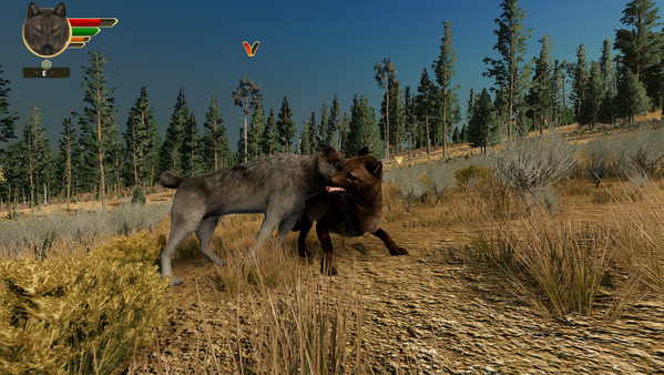 Screenshot 7 of WolfQuest: Anniversary Edition