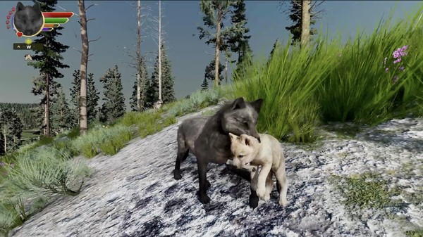 Screenshot 8 of WolfQuest: Anniversary Edition