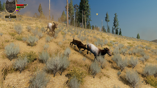 Screenshot 9 of WolfQuest: Anniversary Edition