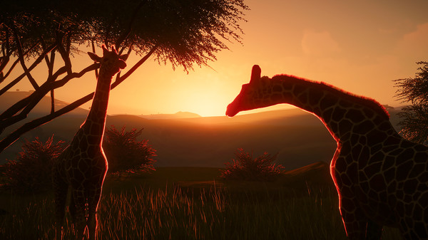 Screenshot 21 of Planet Zoo