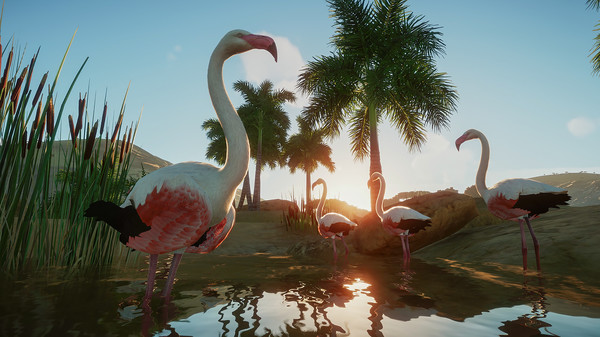 Screenshot 23 of Planet Zoo