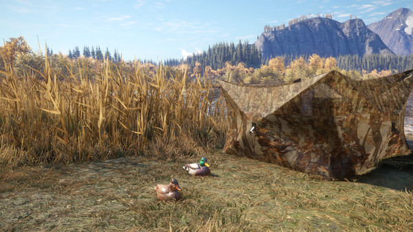 Screenshot 4 of theHunter: Call of the Wild™ - Duck and Cover Pack