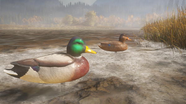 Screenshot 6 of theHunter: Call of the Wild™ - Duck and Cover Pack
