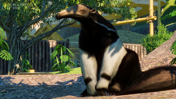 Screenshot 6 of Planet Zoo: South America Pack 