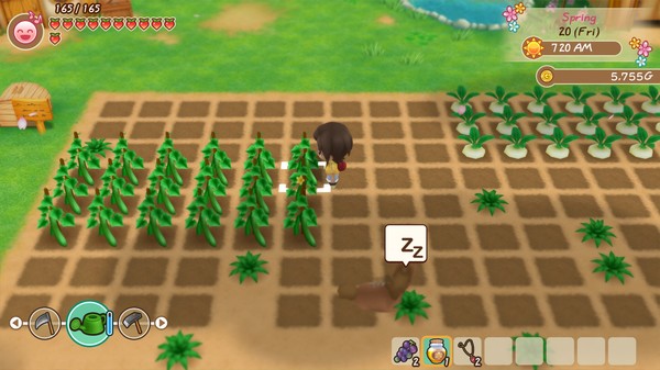 Screenshot 3 of STORY OF SEASONS: Friends of Mineral Town