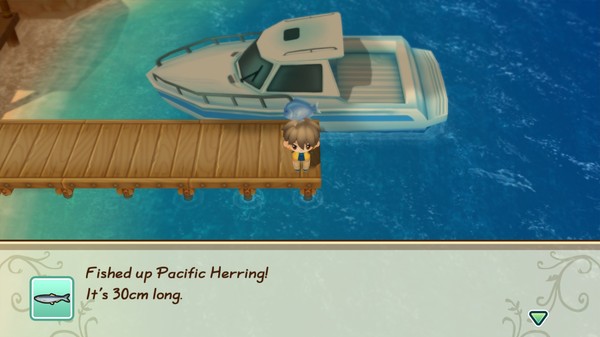 Screenshot 5 of STORY OF SEASONS: Friends of Mineral Town