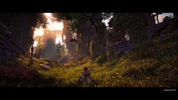 Screenshot 5 of Horizon Zero Dawn™ Complete Edition